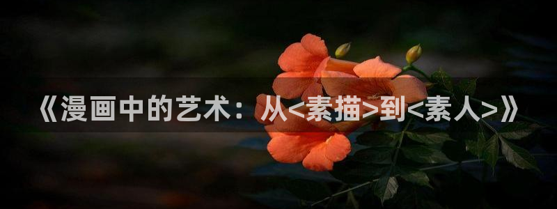 漫蛙3官网：《漫画中的艺术：从<素描>到<素人>》