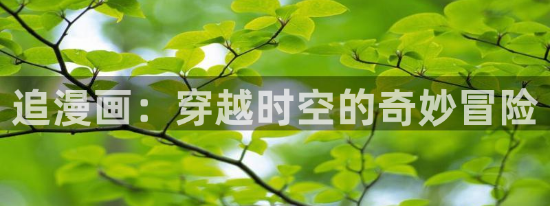 漫蛙2链接入口：追漫画：穿越时空的奇妙冒险