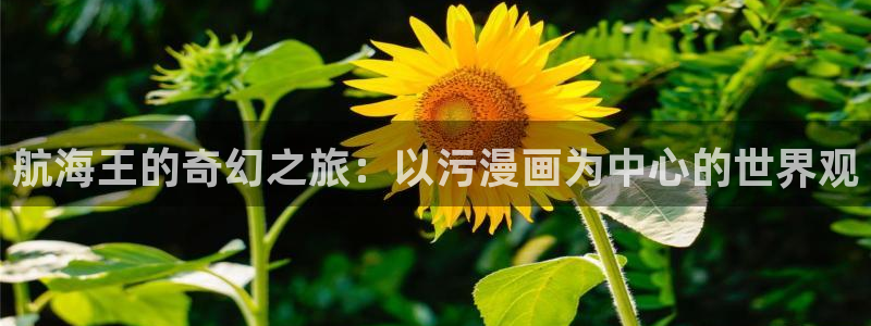漫蛙2最新：航海王的奇幻之旅：以污漫画为中心的世界观