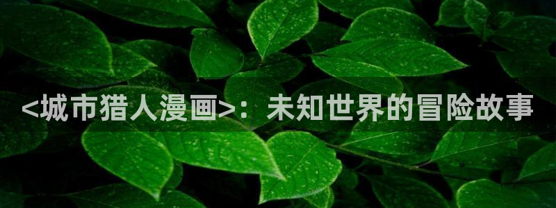 漫蛙自动跳转：<城市猎人漫画>：未知世界的冒险故事