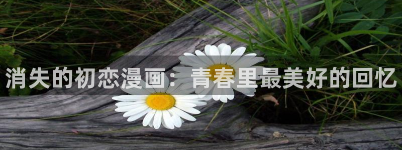 免费漫蛙漫画(网页版)：消失的初恋漫画：青春里最美好的回忆