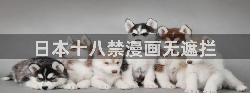 漫蛙漫画(网页入口)漫蛙manwa2官网：日本十八禁漫画无遮拦