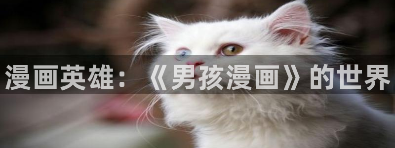 拷贝漫蛙：漫画英雄：《男孩漫画》的世界