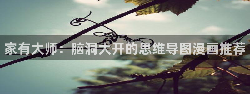 漫蛙2韩漫正版下载：家有大师：脑洞大开的思维导图漫画推荐