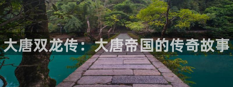 漫蛙网站官网：大唐双龙传：大唐帝国的传奇故事