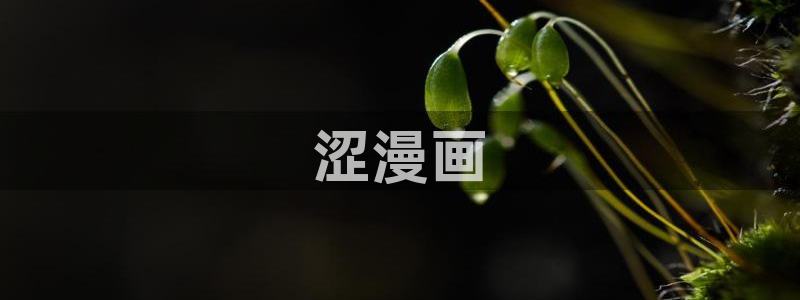 漫蛙下拉式免费阅读：涩漫画