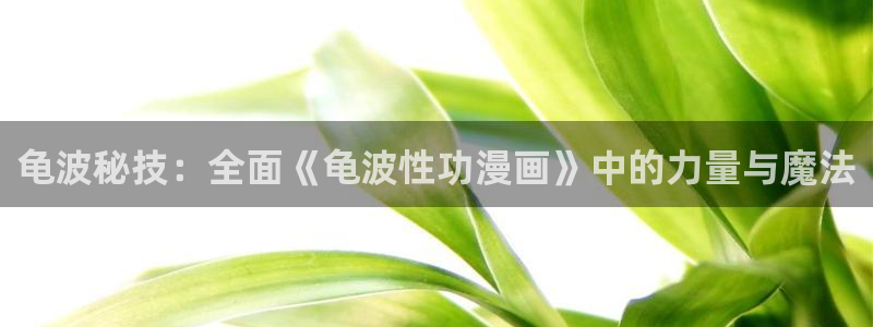 漫蛙漫画免费入口下拉式漫画：龟波秘技：全面《龟波性功漫画》中的力量与魔法