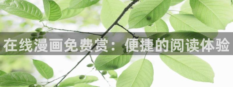 漫蛙漫画周一的救星：在线漫画免费赏：便捷的阅读体验