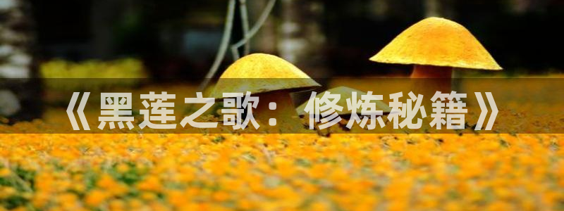 漫蛙3(zh)