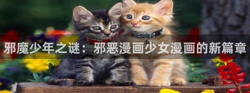 漫蛙manwa2下载苹果