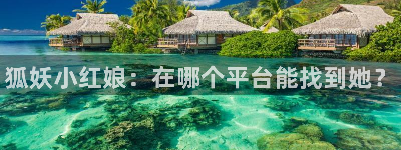 漫蛙走丢网站
