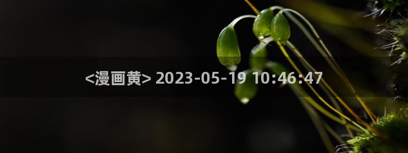 漫蛙台版入口