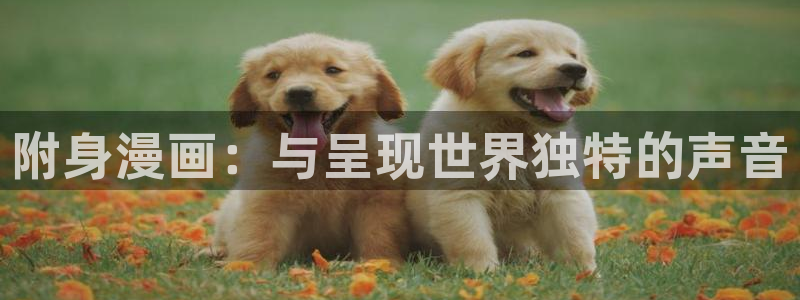 漫蛙进不去