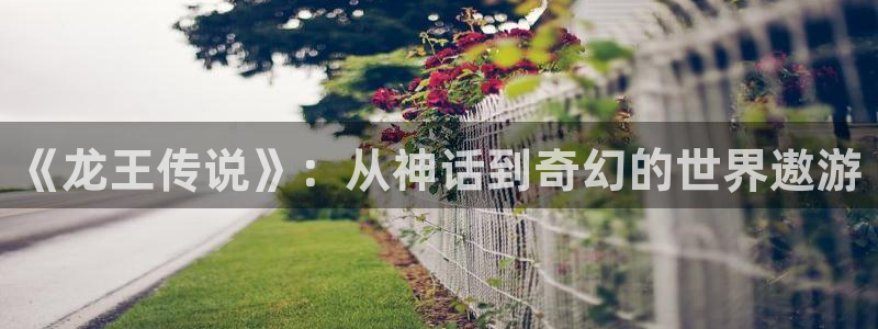 漫蛙枯萎之花上的眼泪