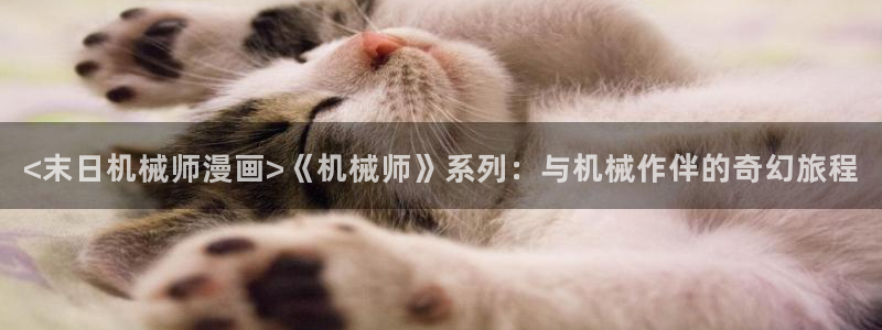 漫蛙manwa入口